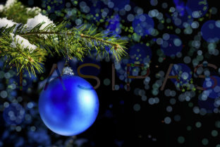 Forest Christmas Tree Branch with Blue Ornament